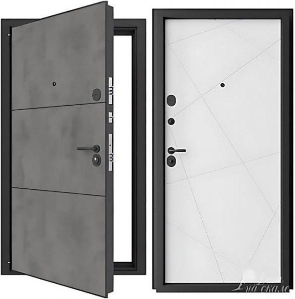 Входная дверь "CARBON" №1